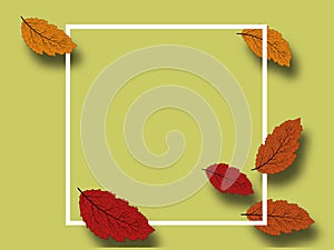 September fall. Autumn leaves vector. Beautiful autumn leaves background, great design for any purposes. Seasonal nature