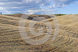 September in the fields of Tuscany. Italy