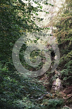 September in the Giant Mountains, a rock on the bank of a stream