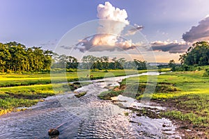 September 04, 2014 - Landscape of Chitwan National Park, Nepal