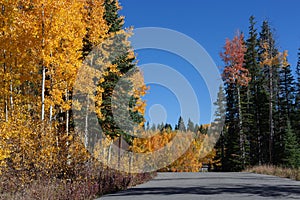 September landscape on the Grand Mesa