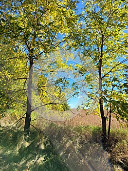 September Lighting in Rural Wilmot Township