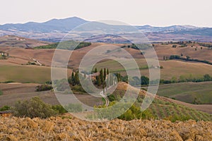 September morning landscape in the neighborhood of San Quirico d`Orcia. Italy