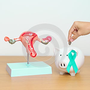 September Ovarian cancer Awareness month. Uterus model and Teal Ribbon with Piggy Bank for support illness life. Health, Donation