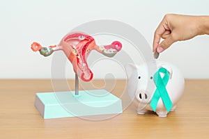 September Ovarian cancer Awareness month. Uterus model and Teal Ribbon with Piggy Bank for support illness life. Health, Donation