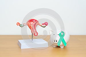 September Ovarian cancer Awareness month. Uterus model and Teal Ribbon with Piggy Bank for support illness life. Health, Donation