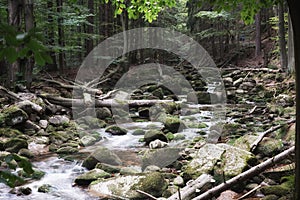 September in the Sudetes, a mountain stream in Karkonosze