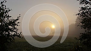 September sunrise over the meadow, autumn morning, sun and fog