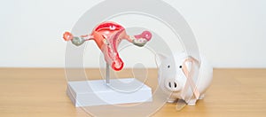 September Uterine Cancer Awareness month. Uterus model and Peach Ribbon with Piggy Bank for support illness life. Health, Donation