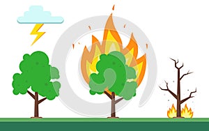 Sequence of fire in the forest. the natural nature