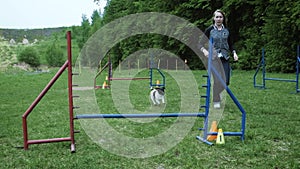 Sequence with slow motion racing in competition, animal agility race with dog running and doing slalom. Sequence with