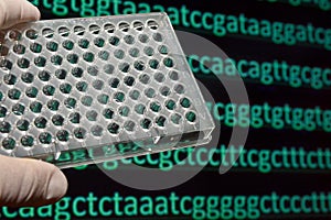 Sequencing the genome.