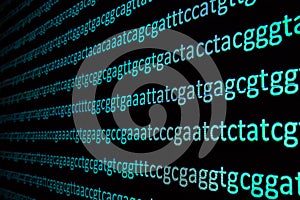 Sequencing the genome.