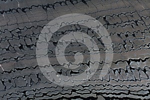 Sequia black, natural quartzite stone texture, photo of slab. Dark grey, black matt material slate for build exterior photo