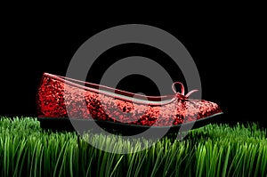 Sequined red slipper on grass