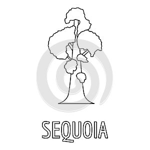 Sequoia icon, outline style. photo