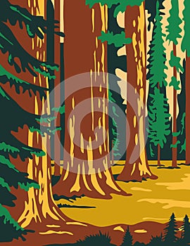 Sequoia and Kings Canyon National Park in Sierra Nevada California United States WPA Poster Art