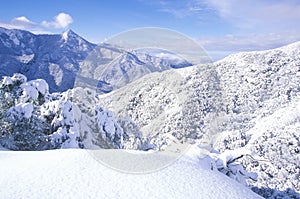 Sequoia National Park