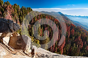 Sequoia National Park