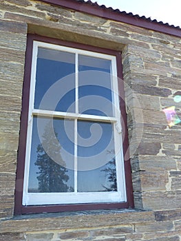 Sequoia tree reflected in historic stone cottage window, New Zealand