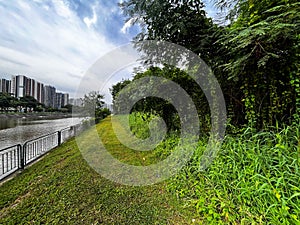 Serangoon reservoir forest water catchment photo