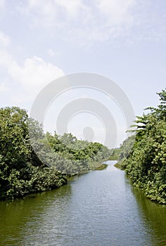 Serangoon River, Singapore photo