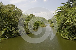 Serangoon River, Singapore photo