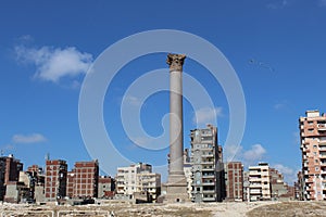 Serapeum and Pompey`s Pillar