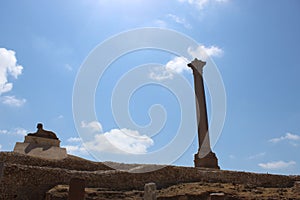 Serapeum and Pompey`s Pillar and the sphinx.