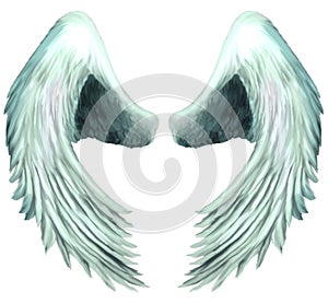 Seraphim Angel Wings 1