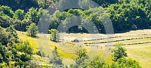 Serbia: mountain meadows