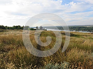 Serbia Vojvodina river Danube landscape near Slankamen village