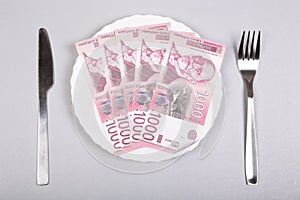 Serbian dinar money on a white plate with fork and knife on a gray background, top view, flat lay.
