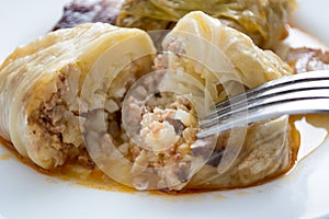 Serbian dish sarma served in white plate