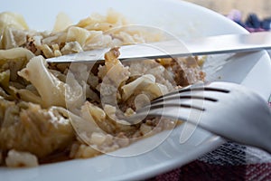 Serbian dish sarma served in white plate