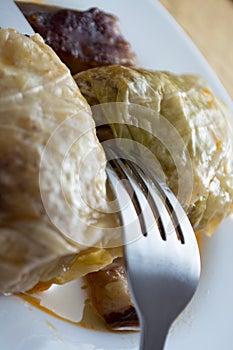 Serbian dish sarma served in white plate
