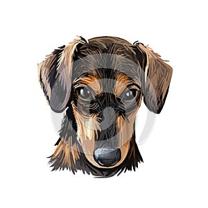 Serbian Hound pet digital art, watercolor hand drawn poritair of canine. Domestic animal from Serbia and Montenegro, Balkan puppy
