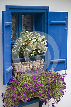 Serbian traditional house photo