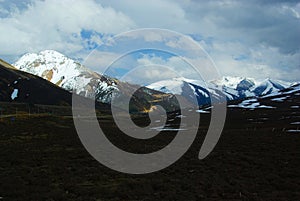 Sere vegetation on the top of snowy mountains