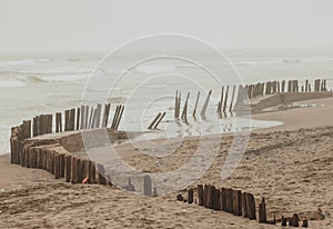 Serena beach, north of Chile