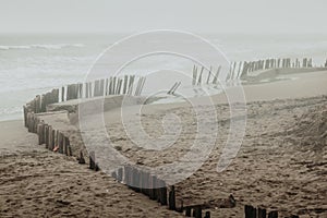 Serena beach, north of Chile