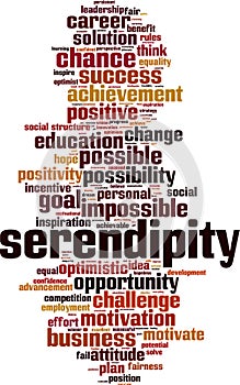 Serendipity word cloud