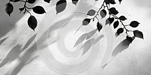 Serene Autumn Afternoon