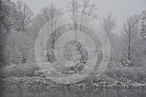 Serene Autumn Snowfall