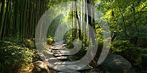 Serene Bamboo Forest Path Lush Greenery Stone Steps Natural Beauty