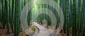 The serene bamboo forest pathway inviting peaceful exploration and tranquility. AI generated image