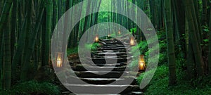 The serene bamboo path illuminated by lanterns in a tranquil forest. AI generated image