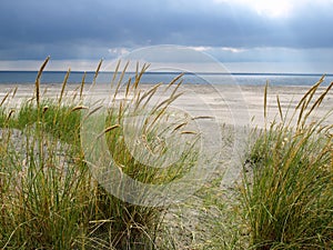 Sand dunes on a beach