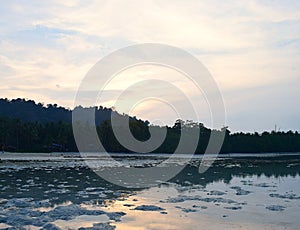 Serene Beach at Evening with Palm Trees, Sunset Behind Hills and Bright Sky - Vijay Nagar Beach, Havelock Island, Andaman, India