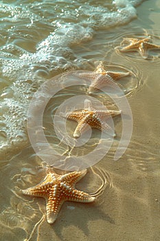 Serene Beach Scene with Starfish on the Shoreline Under Warm Sunlight with Gentle Waves and Golden Sand